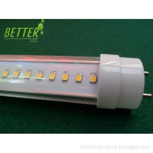 Super Bright T8 LED Tube SMD3014